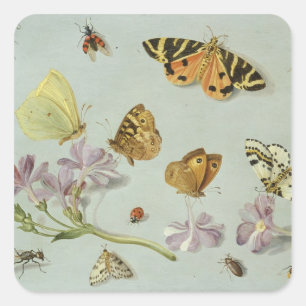 Butterflies, moths and other insects square sticker