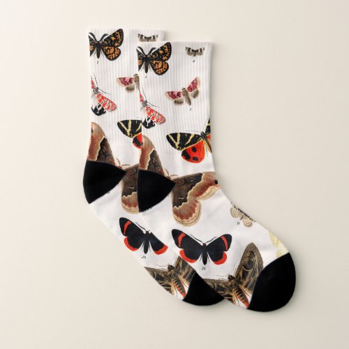 Butterflies  Moths Socks