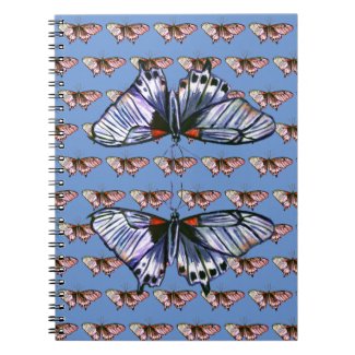 Butterflies