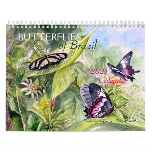 BUTTERFLIES of Brazil 2021 Calendar