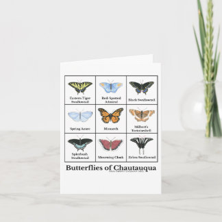 Butterflies of Chautauqua Card
