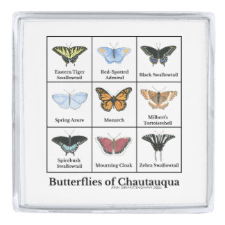 Butterflies of Chautauqua Silver Finish Lapel Pin