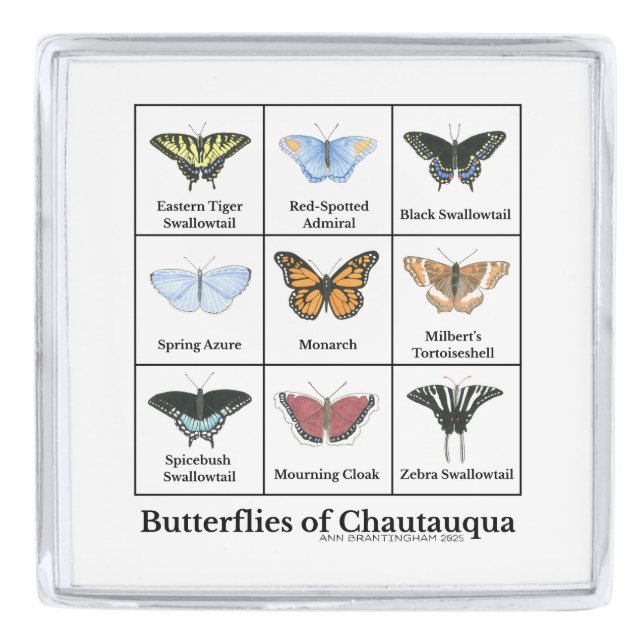 Butterflies of Chautauqua Silver Finish Lapel Pin (Front)