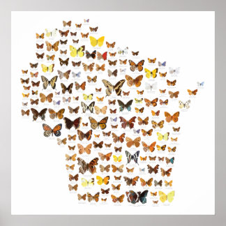 Butterflies of Wisconsin Poster