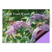 Butterflies on ButterflyBush-customize (Front Horizontal)