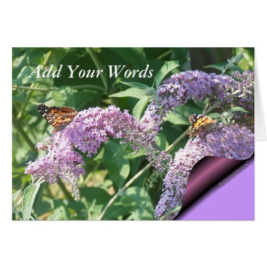 Butterflies on ButterflyBush-customize (Front Horizontal)
