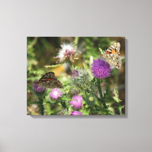 Butterflies on Flowers Photo Single Print