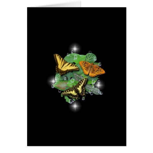 Butterflies on Leaves (Front)