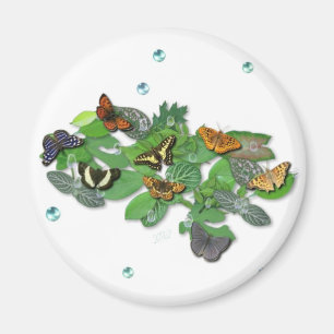 Butterflies on Leaves Magnet