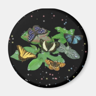 Butterflies on Leaves Magnet