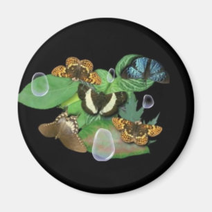 Butterflies on Leaves Magnet