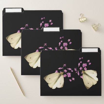 Butterflies on Pink Flowers File Folder Set