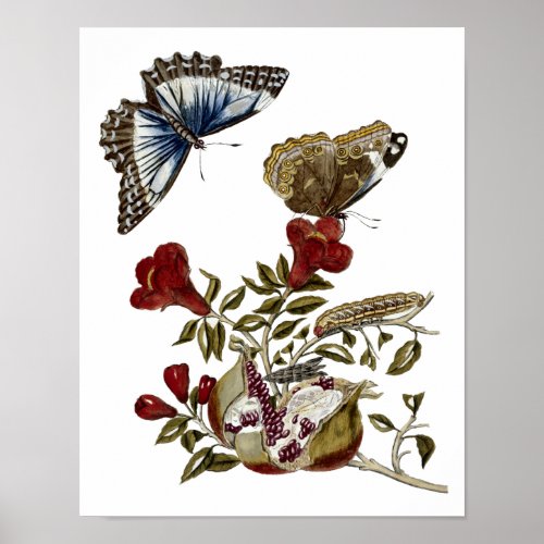 Butterflies On Pomegranate Blossoms Poster