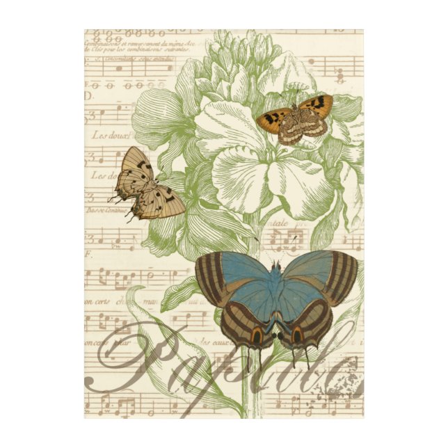 Butterflies on Sheet Music with Floral Design Acrylic Print (Front)