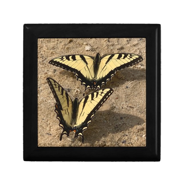 Butterflies on the Beach Gift Box (Front)