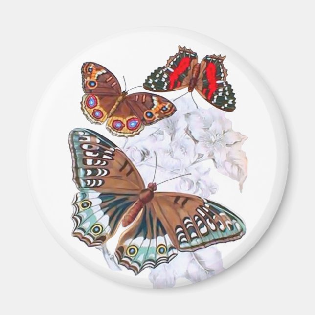 Butterflies - Orange and Brown Magnet (Front)