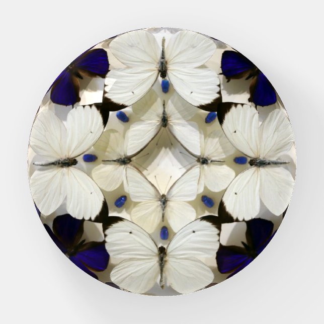 Butterflies Paperweight (Front)