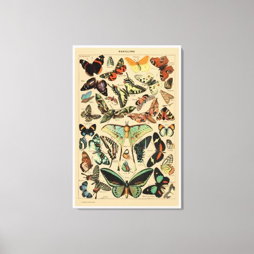 Butterflies _ Papillons _ Vintage French Book Page Canvas Print