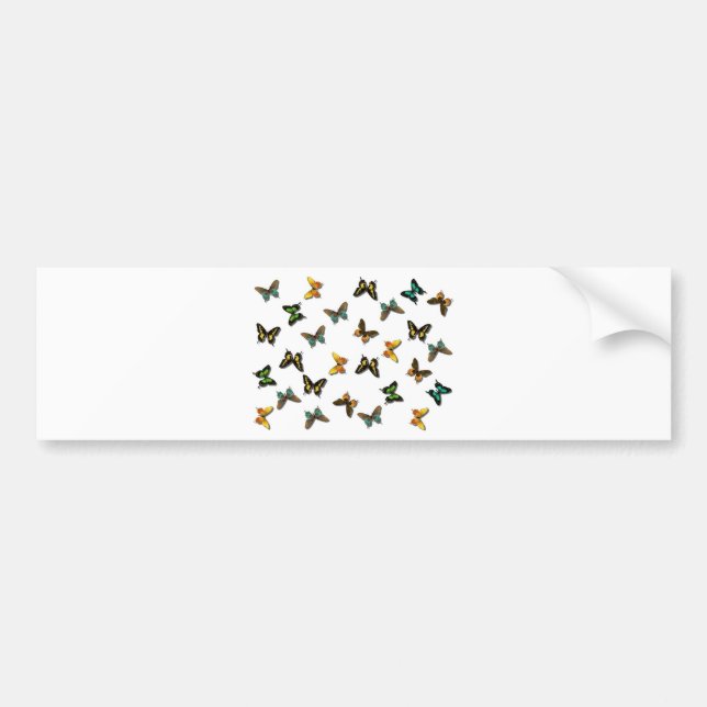 Butterflies Pattern Bumper Sticker (Front)