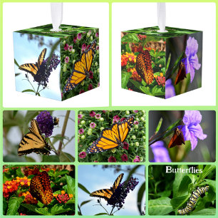 Butterflies Photographic Nature Photography Cube Ornament