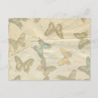 Butterflies Postcard