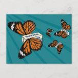 Butterflies Postcard at Zazzle