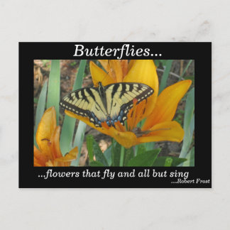 Butterflies... Postcard