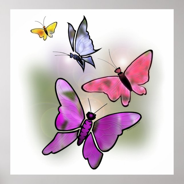Butterflies Poster (Front)