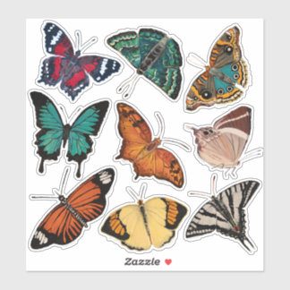 Butterflies (Sheet 3 Alphabet of Butterflies) Sticker