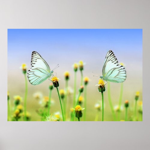 Butterflies Spring Nature Scenery Poster