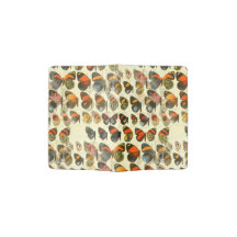 butterflies summer gift