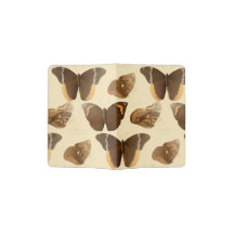 butterflies summer sun