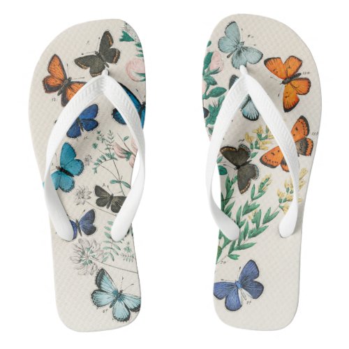 Butterflies vintage illustration flip flops