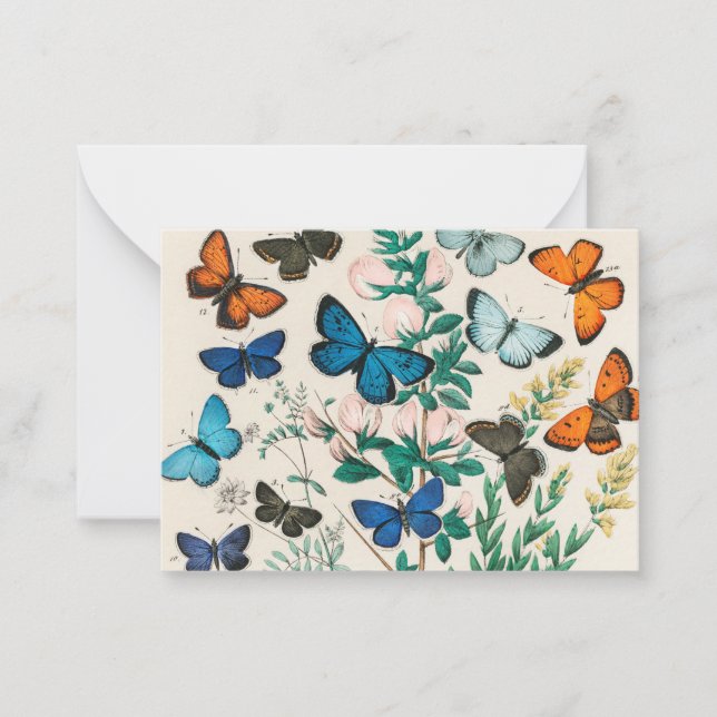 Butterflies, vintage illustration note card (Front)