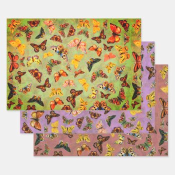 Butterflies Wrapping Paper Sheets by RafiMetzDesign at Zazzle