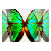 Butterfly (Front Horizontal)