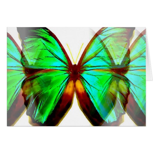 Butterfly (Front Horizontal)