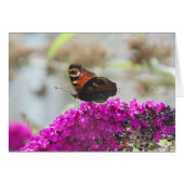Butterfly (Front Horizontal)