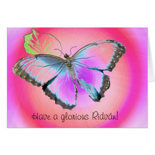 Butterfly3 Cards (Front Horizontal)