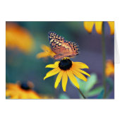 Butterfly 1 (Front Horizontal)