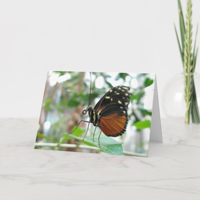 Butterfly #1 card (Front)