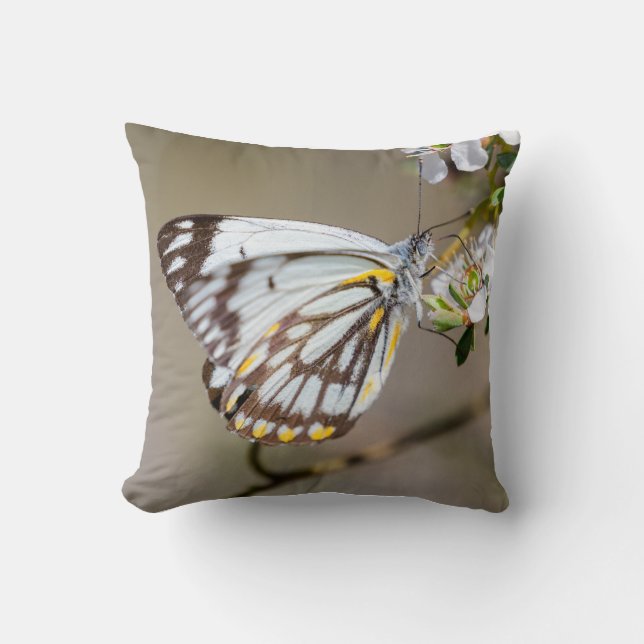 Butterfly 1 Cushion (Front)