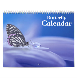Butterfly 2026 calendar