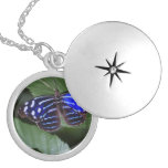 butterfly-272.jpg silver plated necklace