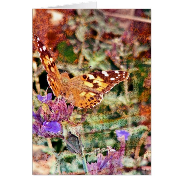 Butterfly 2 cards (Front)