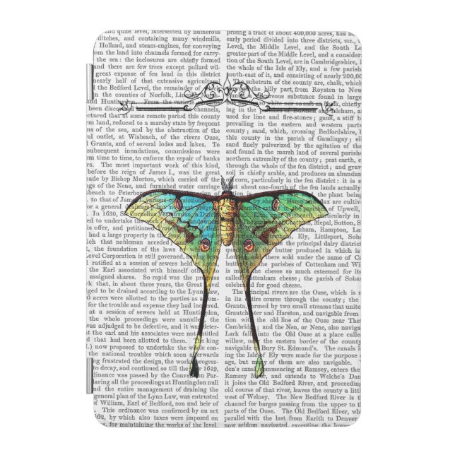 Butterfly 2 iPad mini cover (Front)