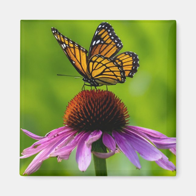 Butterfly 2" Magnet (Front)