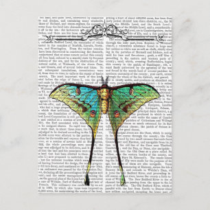 Butterfly 2 postcard