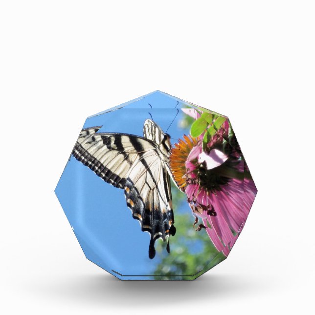 Butterfly Acrylic Award (Front)