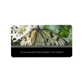 Butterfly Address Labels by lifethroughalens at Zazzle